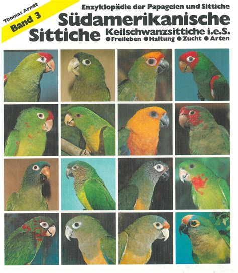 Check spelling or type a new query. Südamerikanische Sittiche, Keilschwanzsittiche i. e. S ...