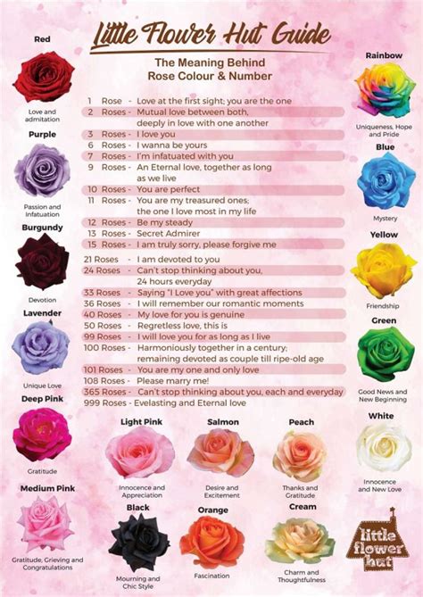 Meaning Of Roses By Number And Colours Little Flower Hut 1 Florist