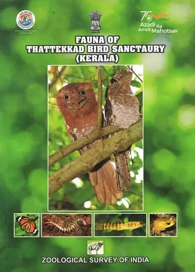 Fauna Of Thattekkad Bird Sanctuary Kerala Exotic India Art