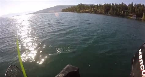 Blast From The Past Jigging Whitefish At Flathead Video Montana