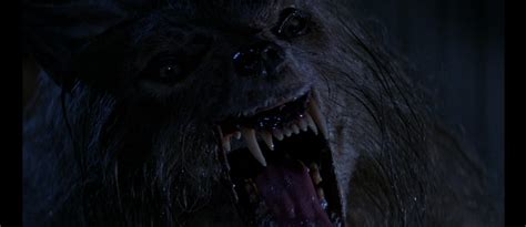 Bad Moon Werewolf Werewolf Monster Beast