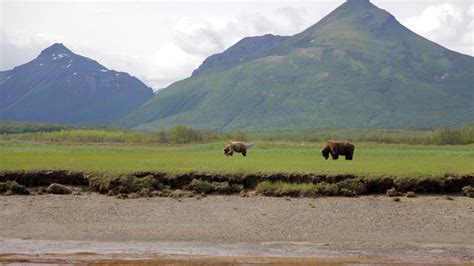 Alaskas Frontier Photos Wild Alaska National Geographic Channel