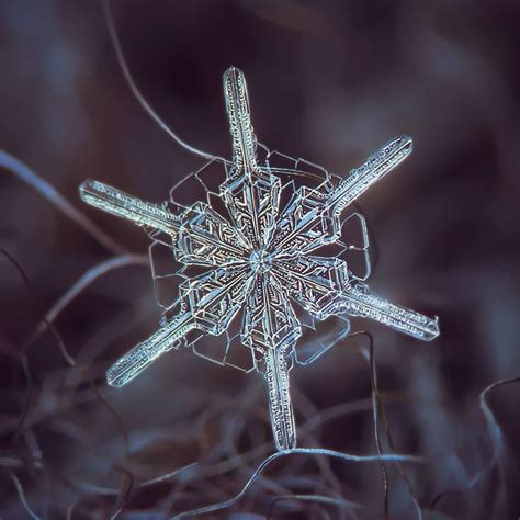 Алексей Клятов Snowflake Macro в Instagram Real Snowflake Unusual