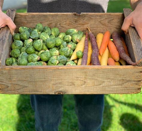 10 Produce Boxes For Pickup And Delivery In Los Angeles
