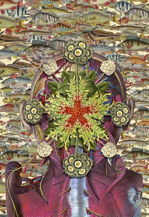 Anatomical Collages By Travis Bedel Cell Backgrounds Art Collage