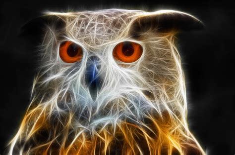 Owl Fractal Art Digital Art By Matthias Hauser