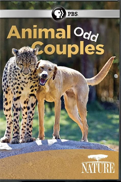 Animal Odd Couples Serie 2013 Tráiler Resumen Reparto Y Dónde Ver