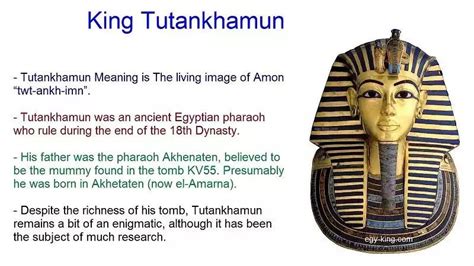 title detail the story of tutankhamun by garry shaw ubicaciondepersonas cdmx gob mx