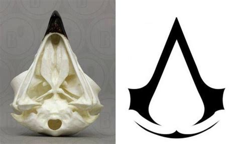 Skull Of An Eagle And The Logo Of The Assassin S Creed R Gaming