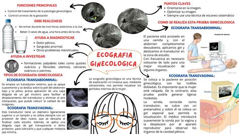 Mapa Mental Ecografia Ginecologica Y Obstetrica Eliana Altamirano Udocz
