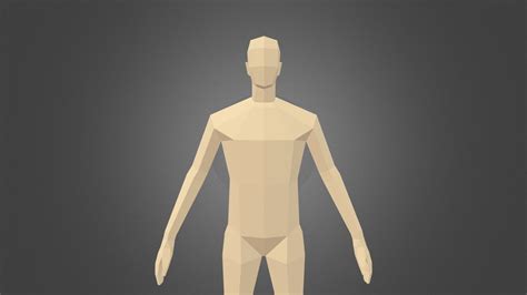 Human Body Anatomy 3d Model Free Download Low Poly Male Body