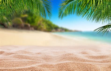Tropical Beach With Sand Summer Holiday Background Stock Photo