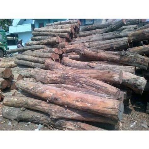 Indian Teak Wood Cp At Rs 1500square Qubic Indian Teak Wood In Nagpur Id 11706080248