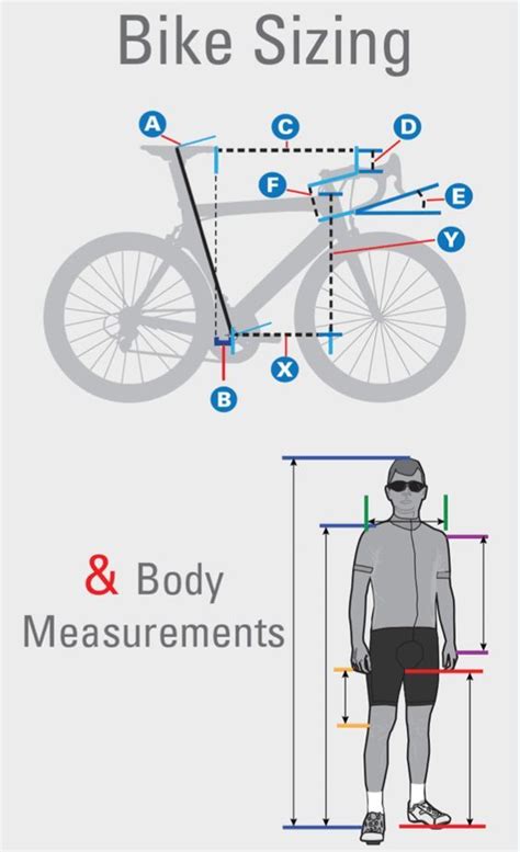 Road Bike Frame Sizes Find And Fit The Right Bicycle For You Road
