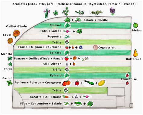 Plan De Jardin Potager 14 M² Pour 2 Etape 4 Définir Le Plan De Son