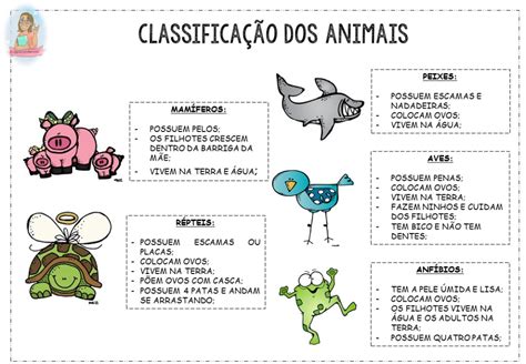 Classificação Dos Animais Classificação Dos Animais Atividades Sobre Animais Atividades Animais