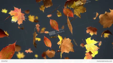 Falling Leaves Loopable Background Stock Animation 3354762