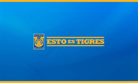 Desktop wallpapers iphone se/5s/5c/5 for parallax, hd backgrounds 800x1420 sort wallpapers by: Tigres UANL Wallpapers - Wallpaper Cave
