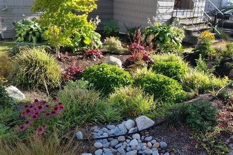 With the warm weather this fall there is still time to properly prep your garden for the upcoming cold winter months. Get Ready for 'Damp Season' with a Rain Garden - SDOT Blog