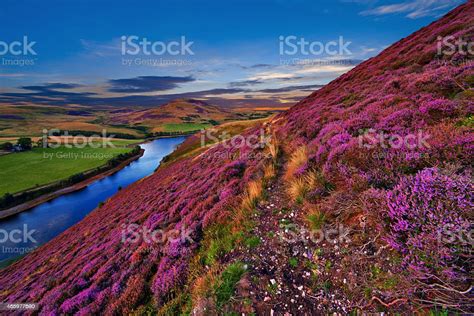 Beautiful Landscape Of Scottish Nature Stock Photo Download Image Now