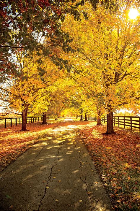 Great Fall Escapes Autumn Scenery Scenery Landscape