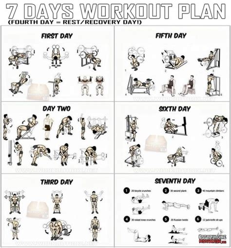 Another full body 30 day home workout program to help you guys accomplish your goals for free! 7 days workout plan | Weekly workout plans, Gym workout ...