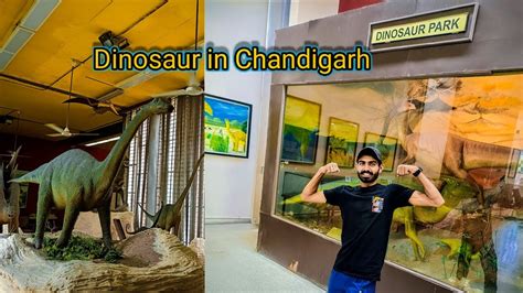 Hidden Gems Of Chandigarh Government Museum And Art Gallery Revealed