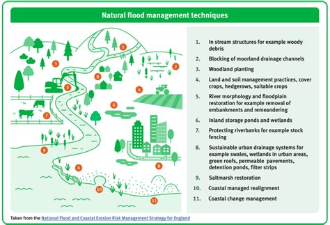 Natural Flood Management Nfm The Flood Hub
