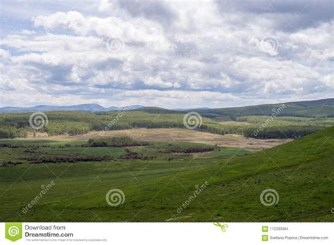 Wooded Valley With Fresh Green Foliage On A Cloudy Day Stock Photo