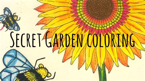 Unleash your creativity with the help of this secret garden coloring book! How to Color: Secret Garden Coloring Book - YouTube