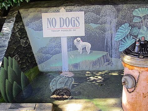 Mural On Drain Surround With Humorous No Dogs Request Below Coit