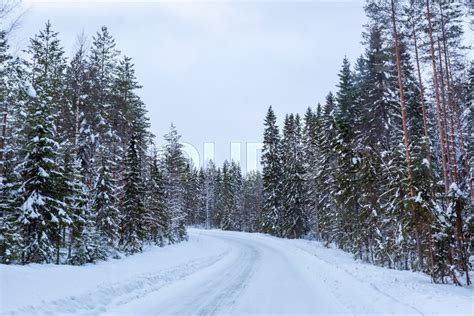 Winter Road In The Forest Finland Stock Image Colourbox