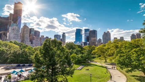 Central Park In New York City Beautiful Timelapse Of Trees In Midtown
