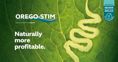 Trial Summary Orego Stim Liquid Supports Broiler Performance During