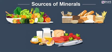 Minerals Food List