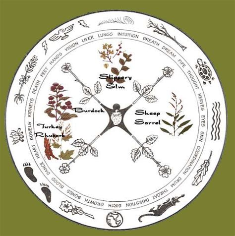 Benefits From Essence Of Ojibwa Tea Medicine Wheel Native American