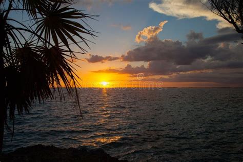 Cuban Sunset Stock Image Image Of Beach Tree Antilles 86204037