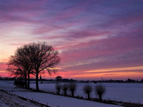 Pink Winter Sunset