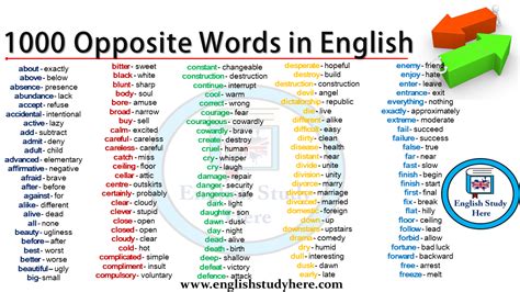 1000 Opposite Words In English Detailed Opposite Word List English