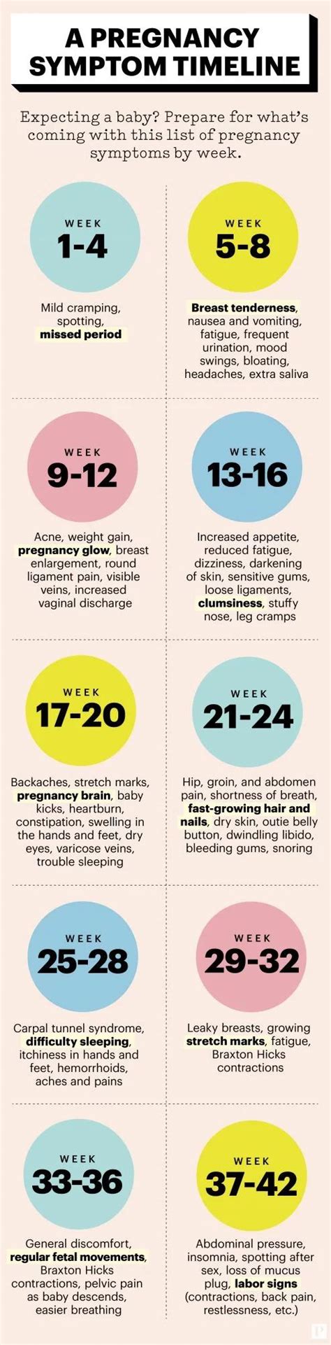 your pregnancy symptoms week by week pregnancy timeline pregnancy calendar pregnancy