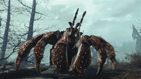 Fallout 4 Giant Hermit Crab 2 By Adamart675 On Deviantart