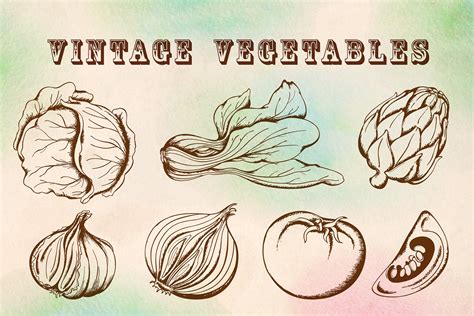 Set Of Vintage Hand Drawn Vegetables Illustrator Graphics Creative
