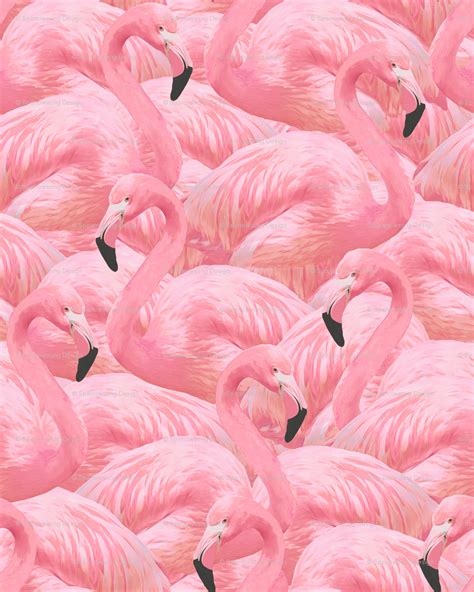 Cute Pink Flamingo Wallpaper