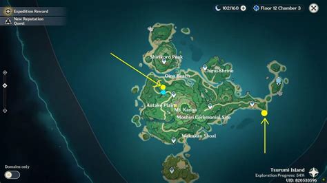Tsurumi Island All 17 Electro Seelie Locations Genshin Impact 22