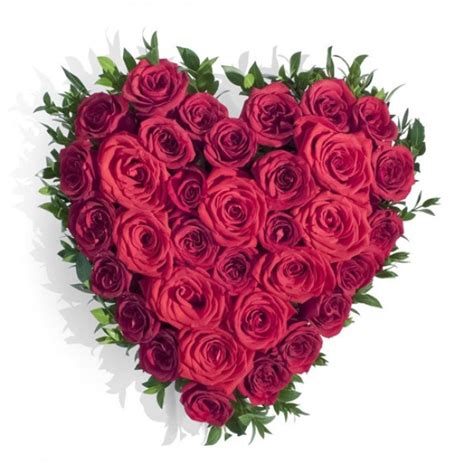 Red Roses Bouquet Send Flowers To Amman Jordan Online T Shop In