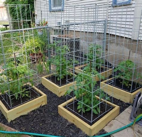 11 Sturdy Diy Tomato Cage Plans Free Mymydiy Inspiring Diy Projects