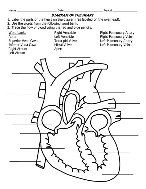 Pin By Anya Kamenetz On Science Diagrams Heart Diagram Human Heart