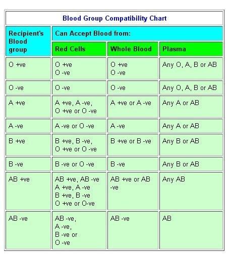 Pin On Haematology Understanding