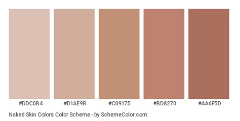 Skin Color Palette Color Schemes Colour Palettes Palette Art Color The Best Porn Website