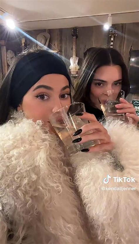 Kendall Kylie Jenner Tease Kathy Hilton Lisa Rinnas Tequila Fight